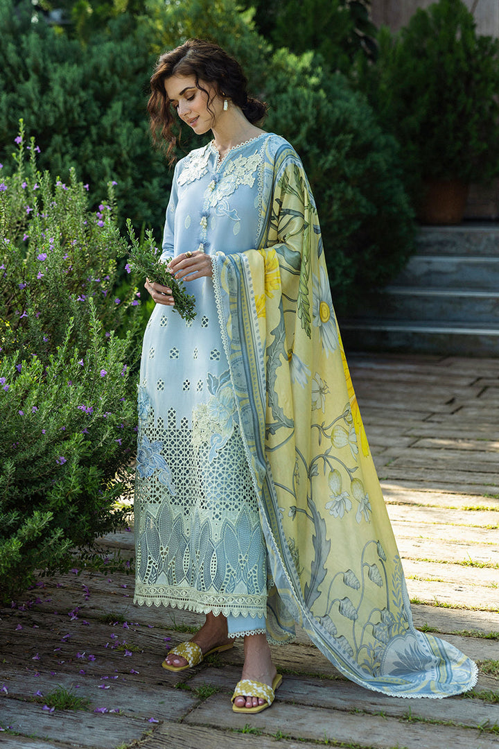 Solace Ombre Chikankari