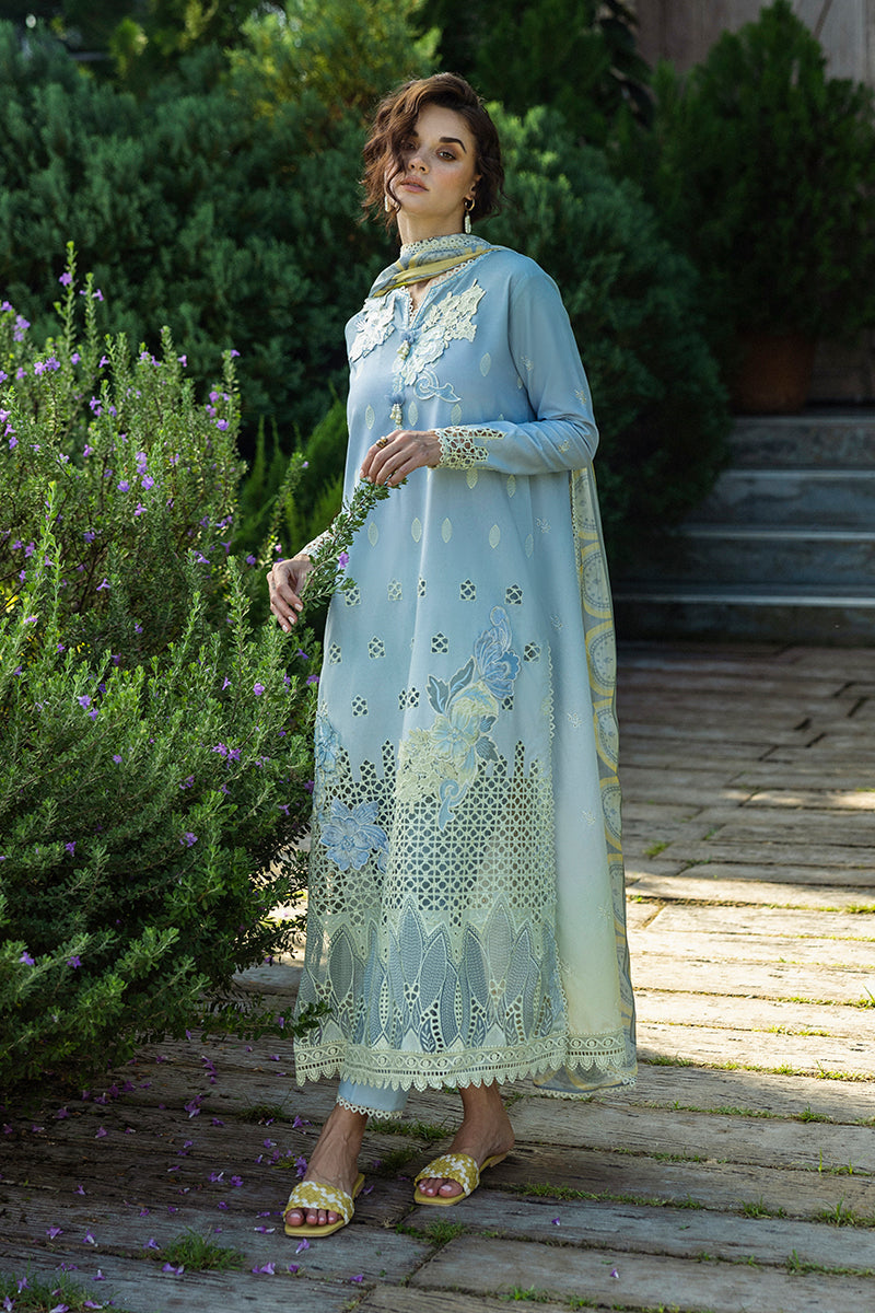 Solace Ombre Chikankari