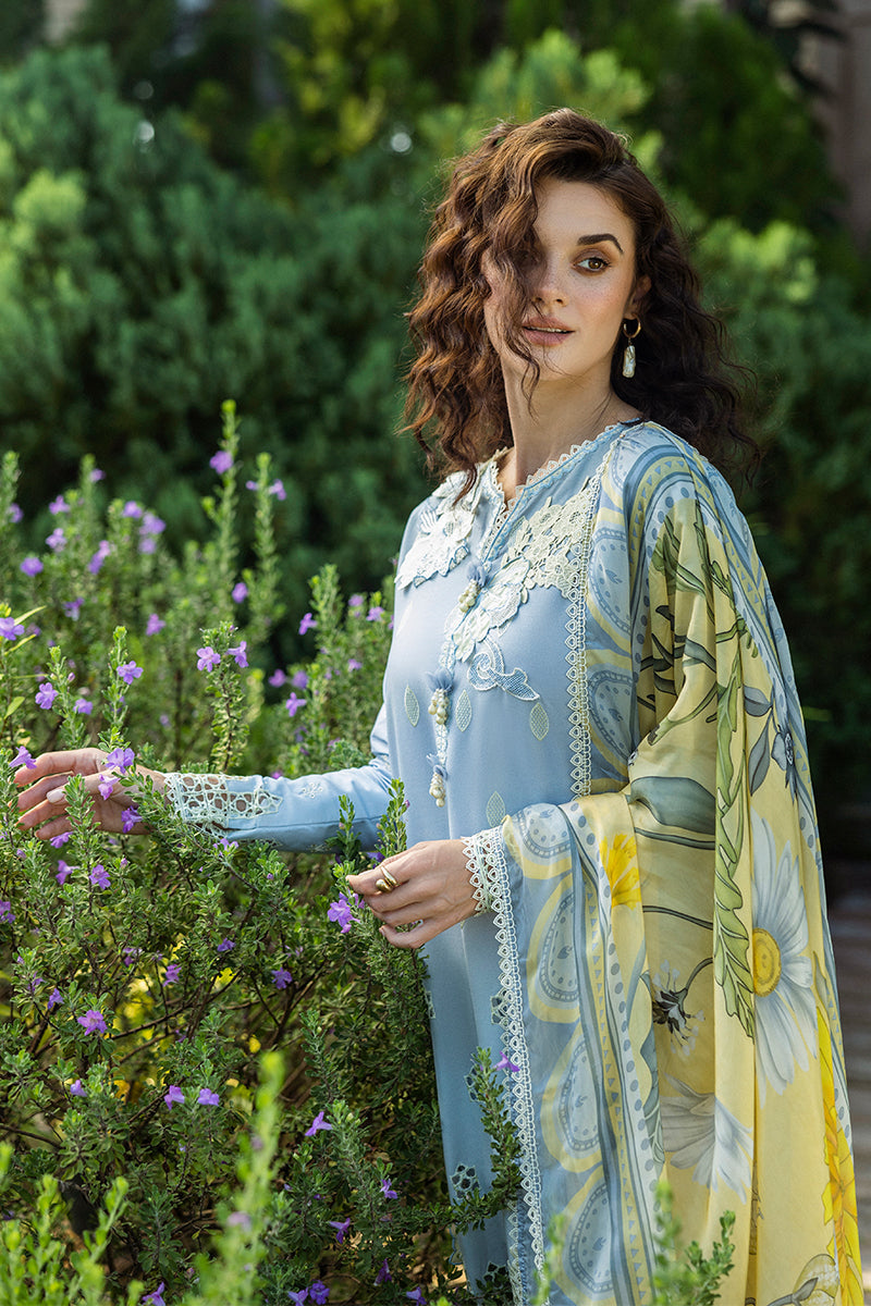 Solace Ombre Chikankari