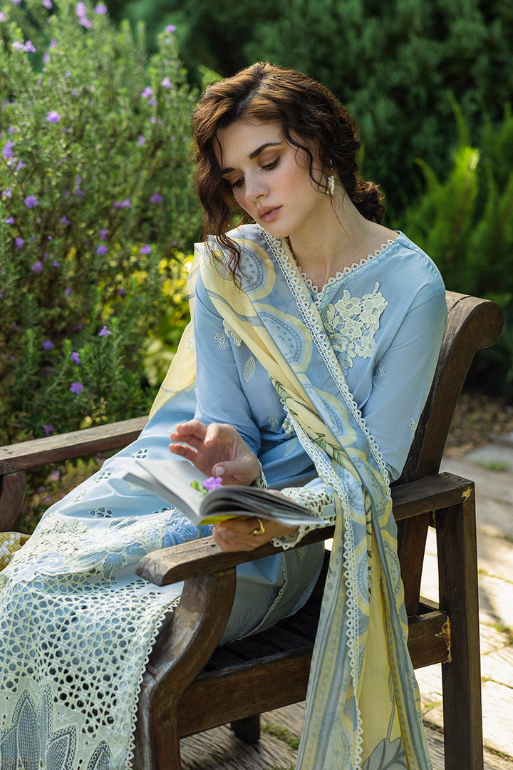 Solace Ombre Chikankari