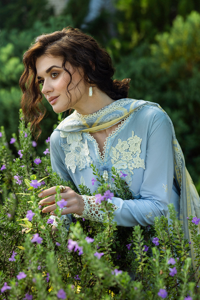 Solace Ombre Chikankari