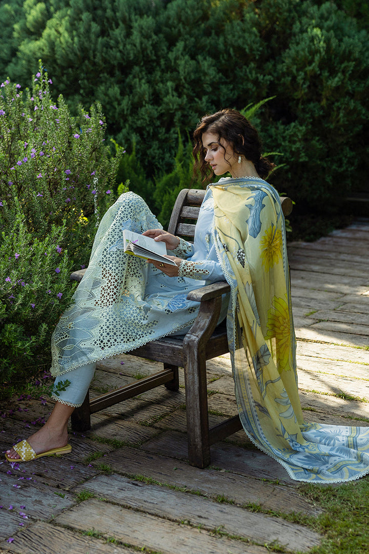 Solace Ombre Chikankari