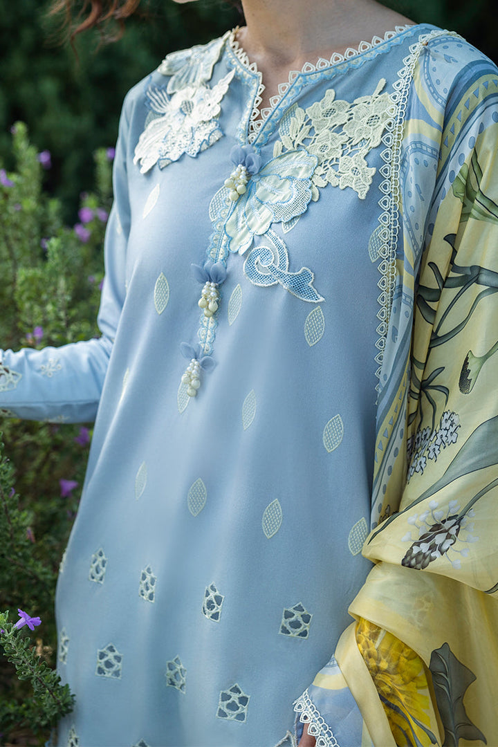 Solace Ombre Chikankari