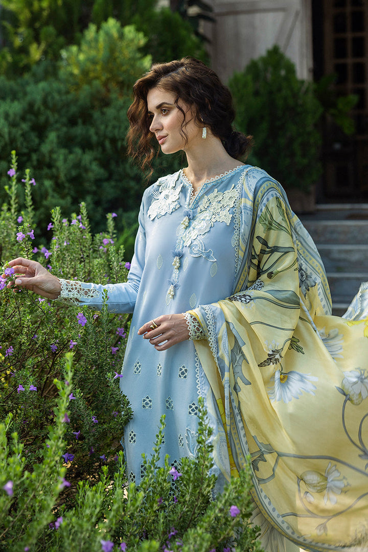 Solace Ombre Chikankari