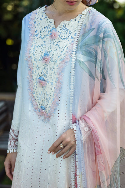 Solace Ombre Chikankari