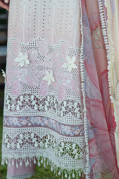 Solace Ombre Chikankari