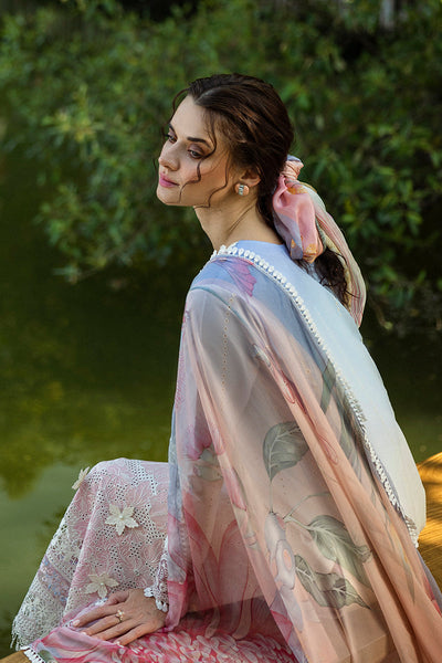 Solace Ombre Chikankari