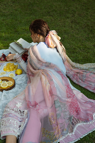 Solace Ombre Chikankari