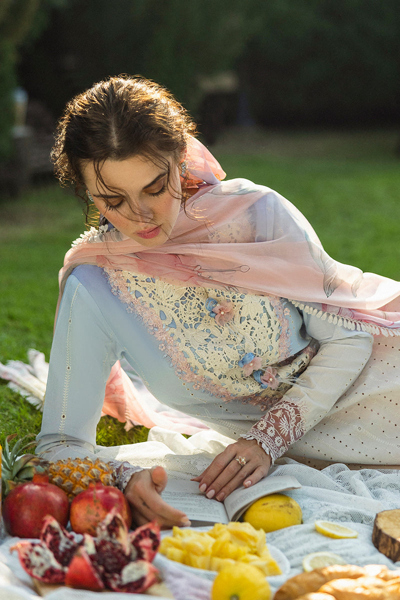 Solace Ombre Chikankari