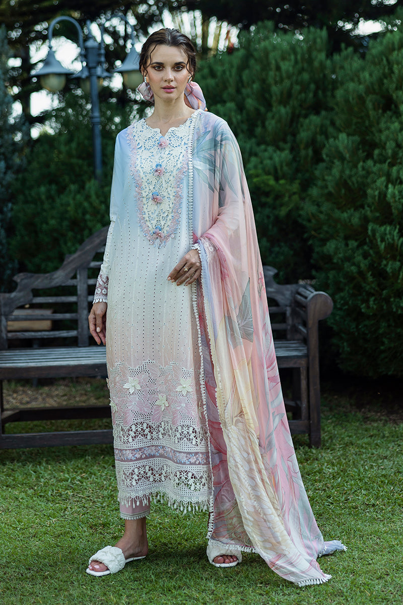 Solace Ombre Chikankari