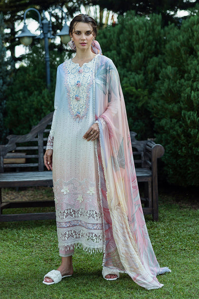 Solace Ombre Chikankari