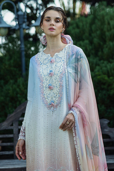 Solace Ombre Chikankari