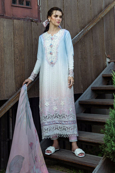 Solace Ombre Chikankari