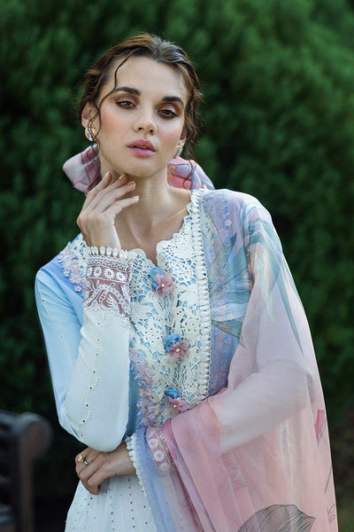 Solace Ombre Chikankari