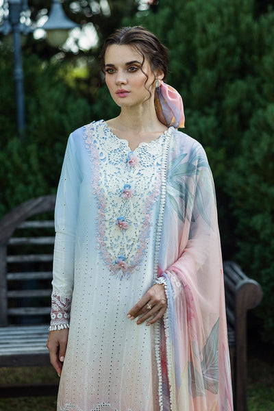 Solace Ombre Chikankari