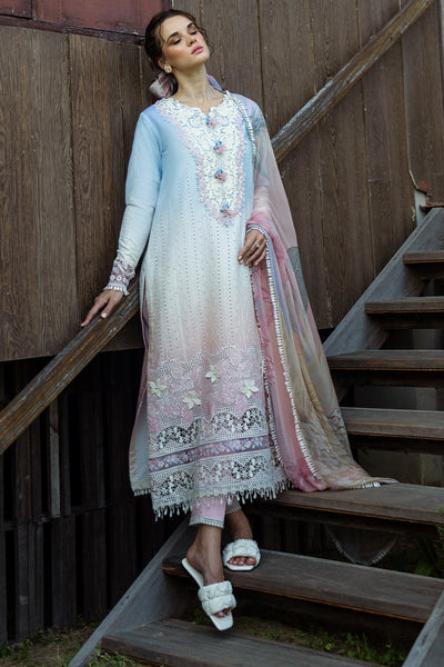 Solace Ombre Chikankari