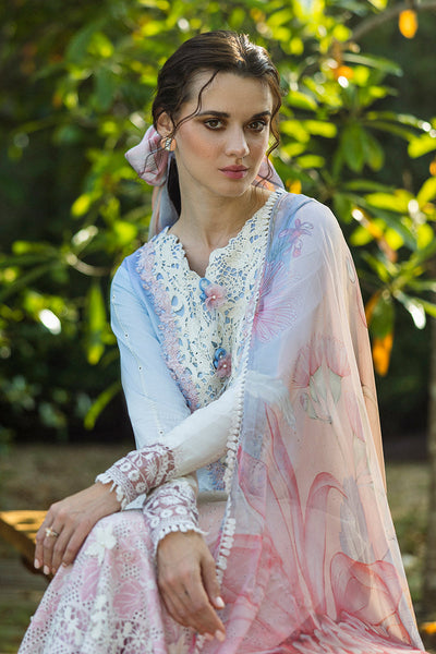 Solace Ombre Chikankari
