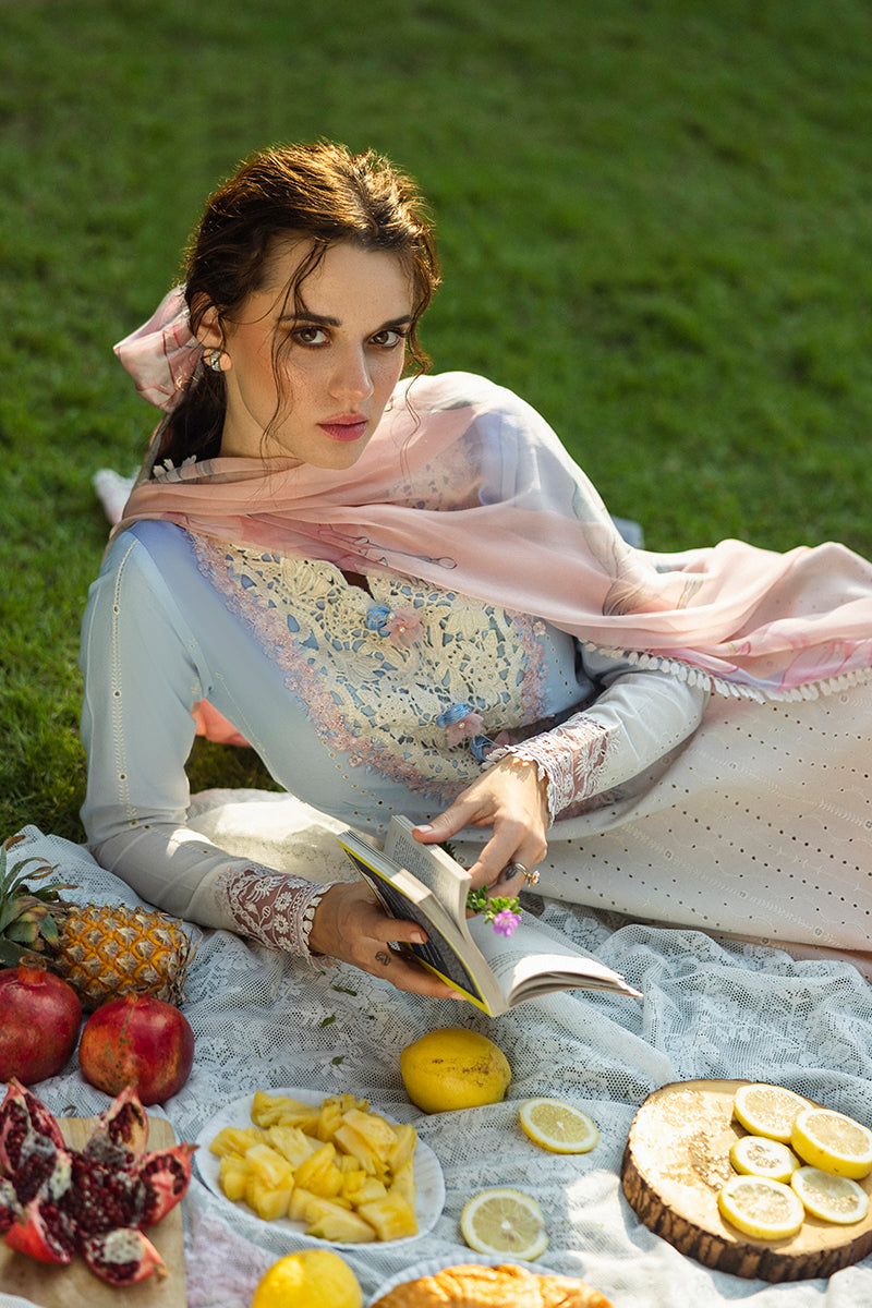 Solace Ombre Chikankari