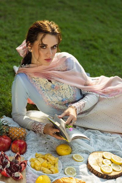 Solace Ombre Chikankari
