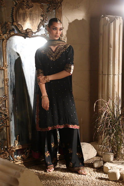 Luxe Embroidered Chiffon