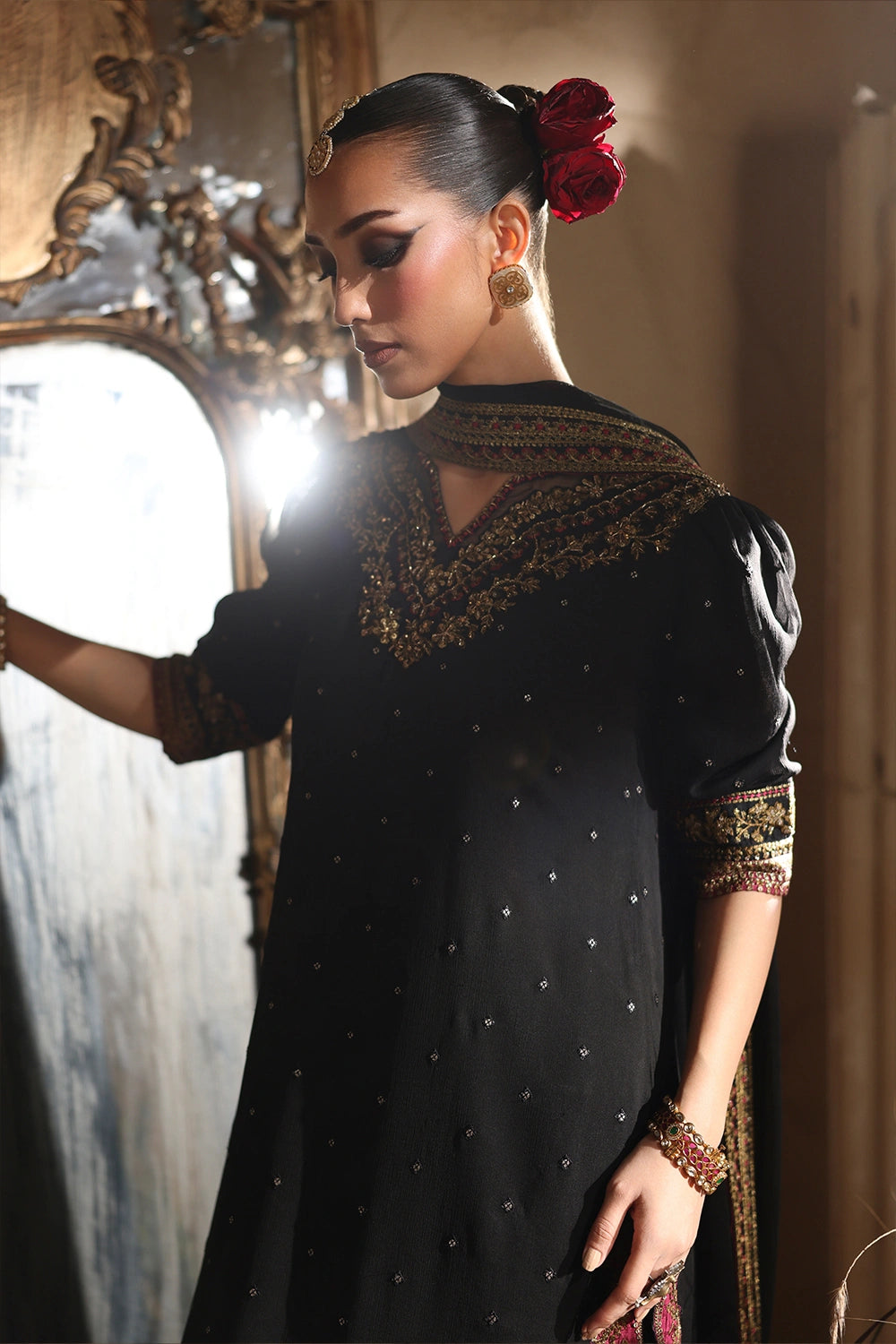 Luxe Embroidered Chiffon