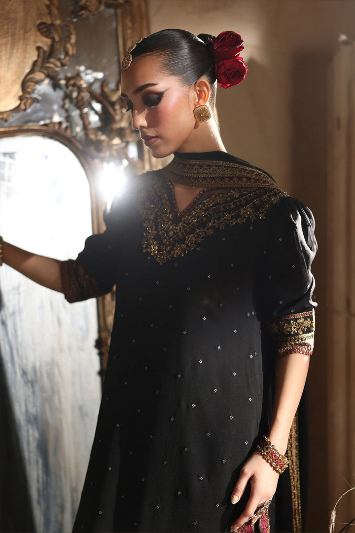 Luxe Embroidered Chiffon