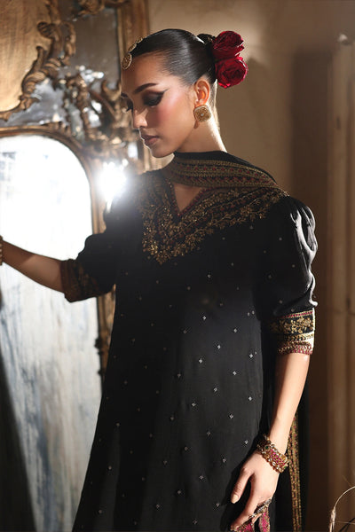 Luxe Embroidered Chiffon