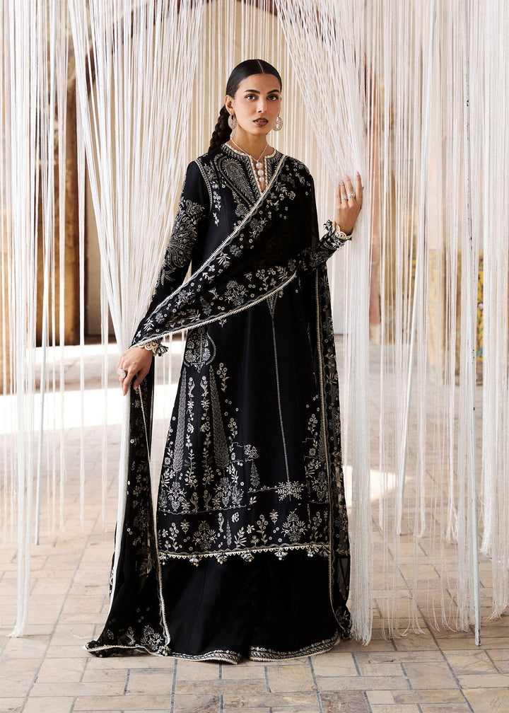 Zan Lawn Collections