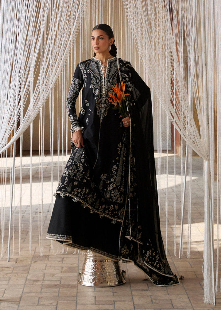 Zan Lawn Collections