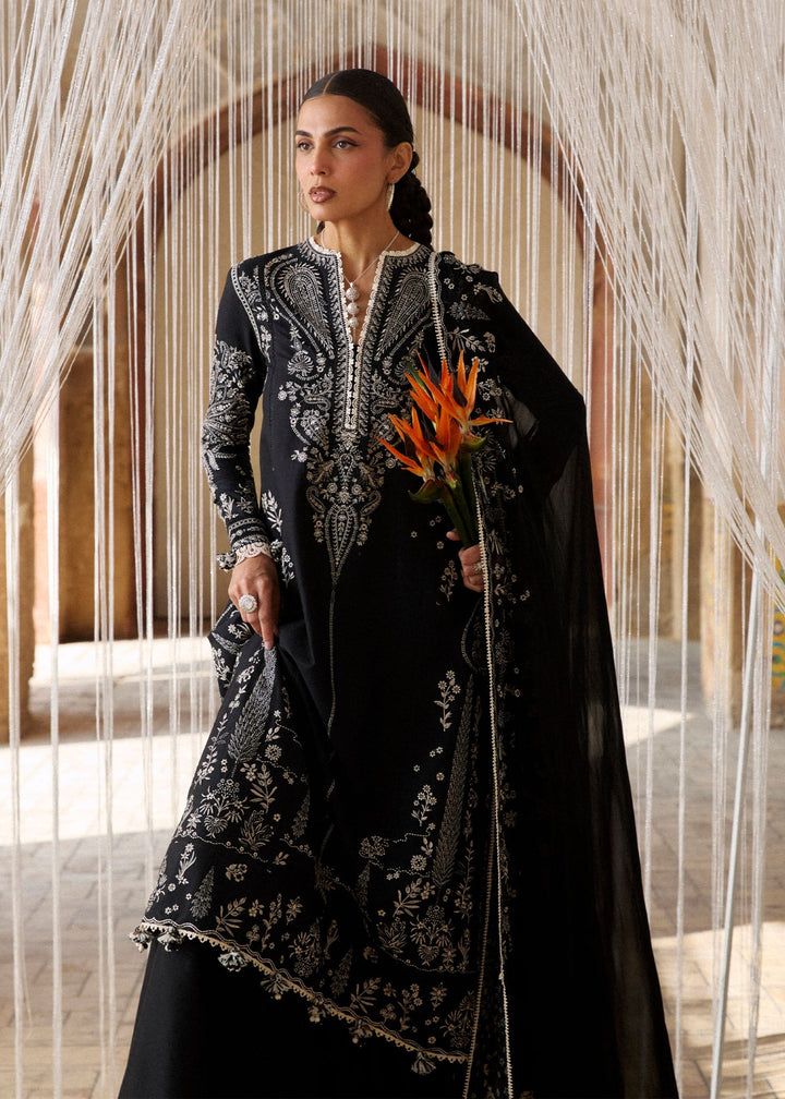 Zan Lawn Collections