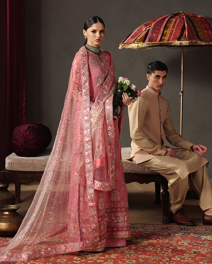Royale Eternel | Chiffon Edit