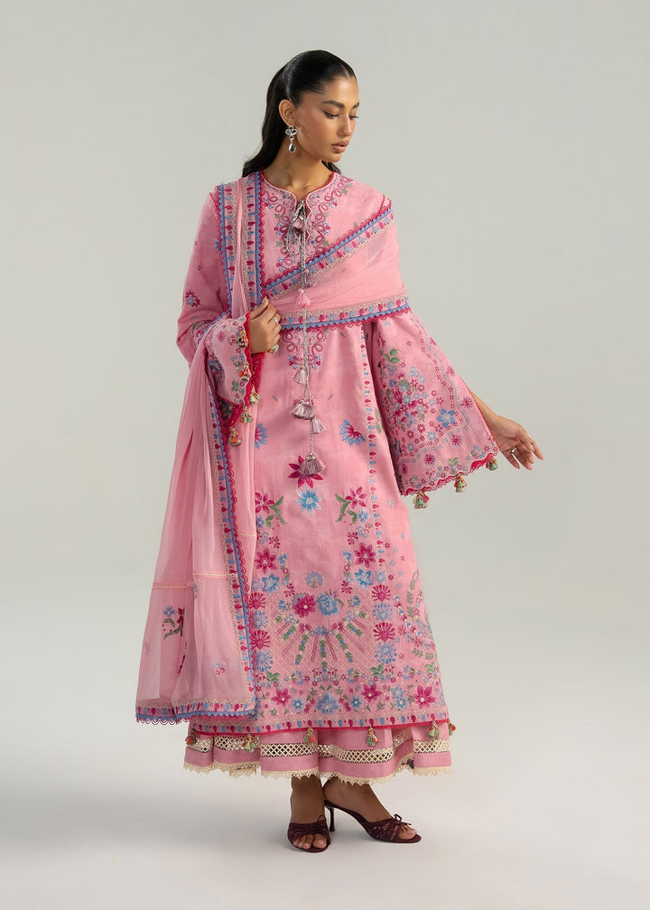 Zan Lawn Collections