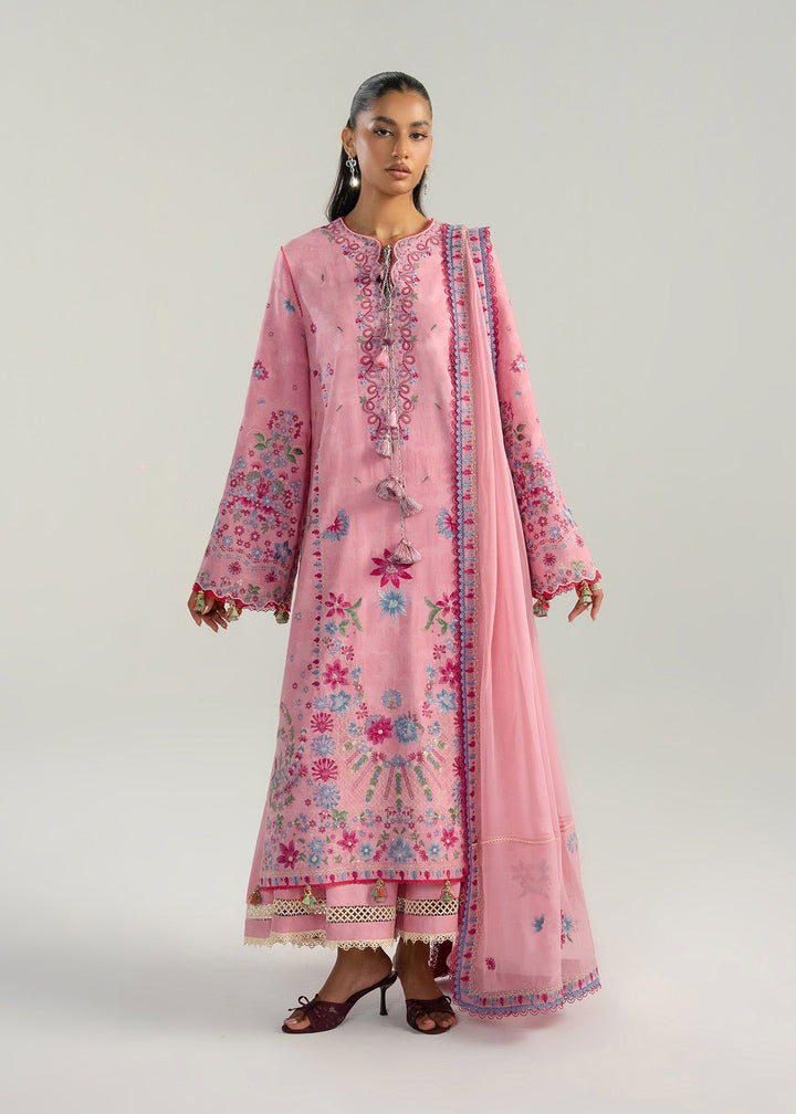 Zan Lawn Collections
