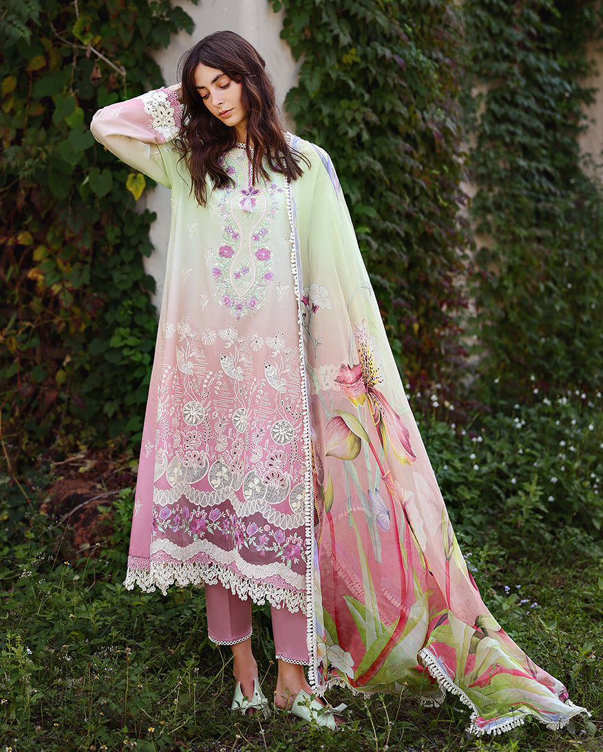 solace ombre chikankari