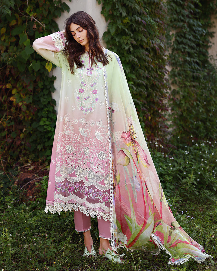 solace ombre chikankari