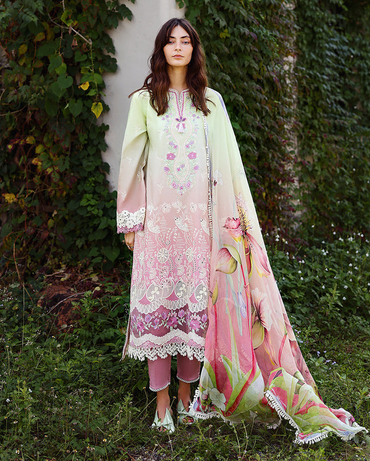 solace ombre chikankari