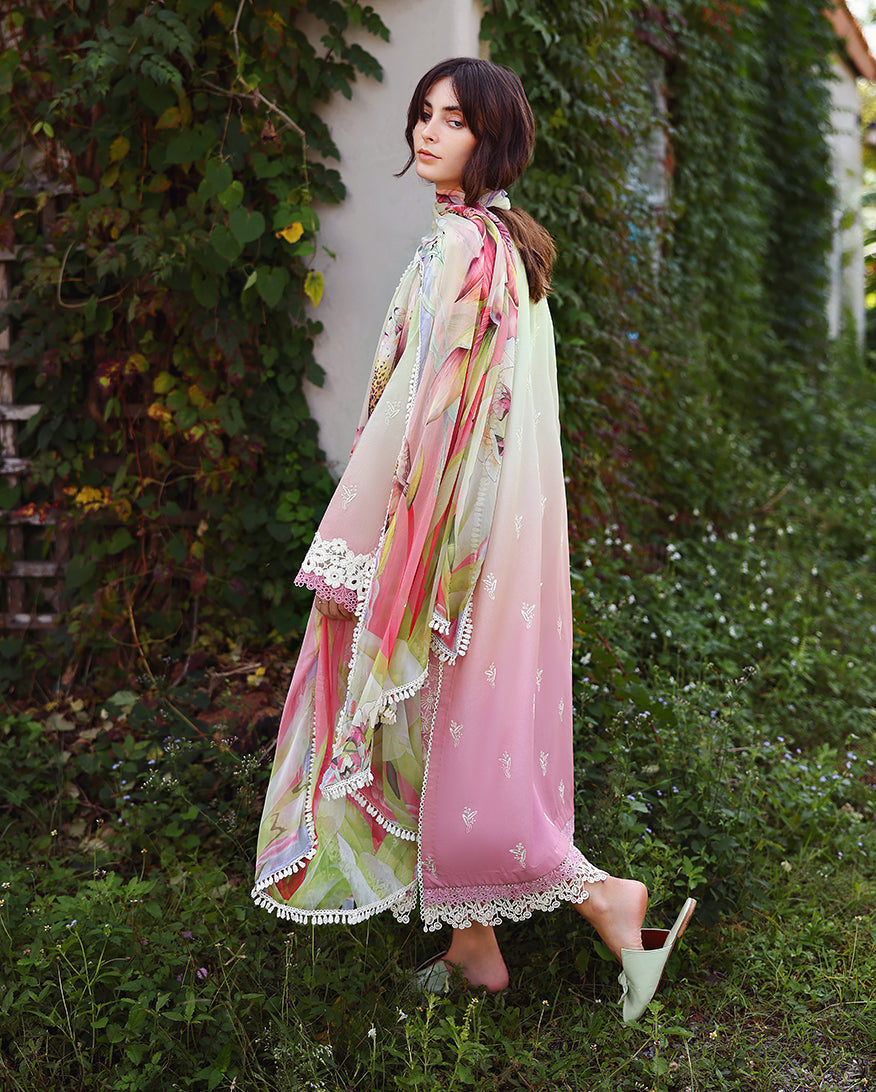 solace ombre chikankari