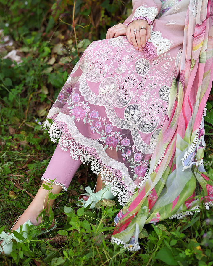 solace ombre chikankari