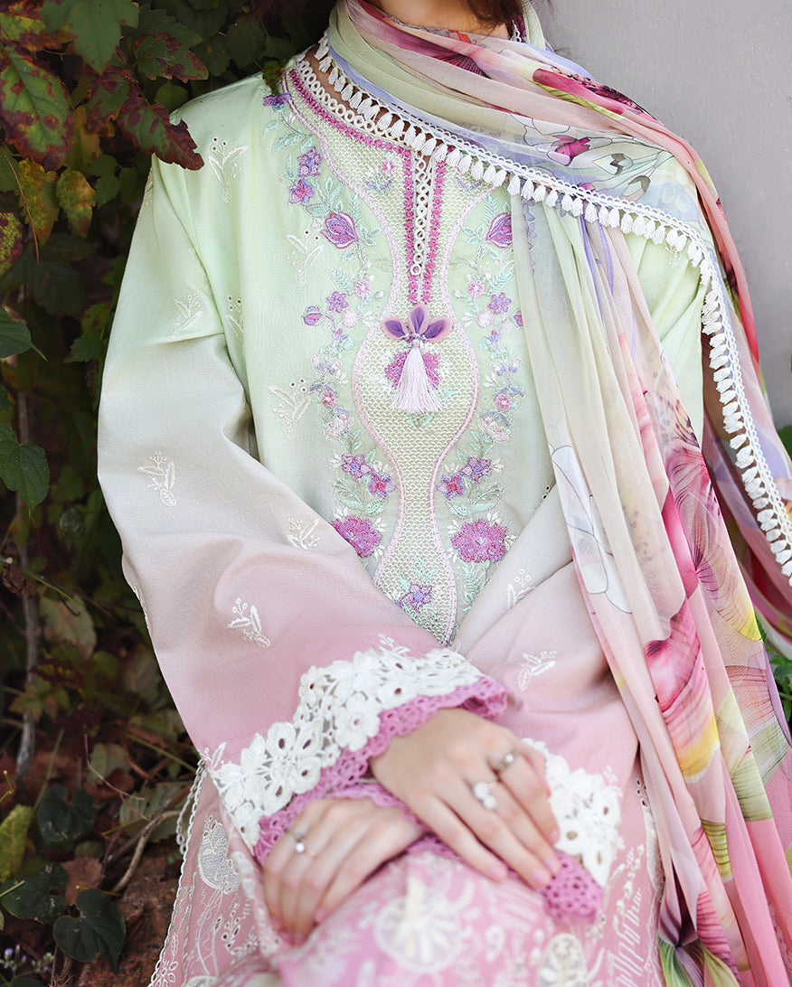 solace ombre chikankari