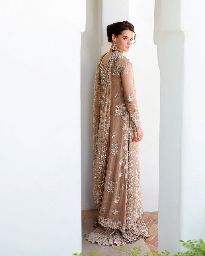 Bachelorette Chronicles | Chiffon