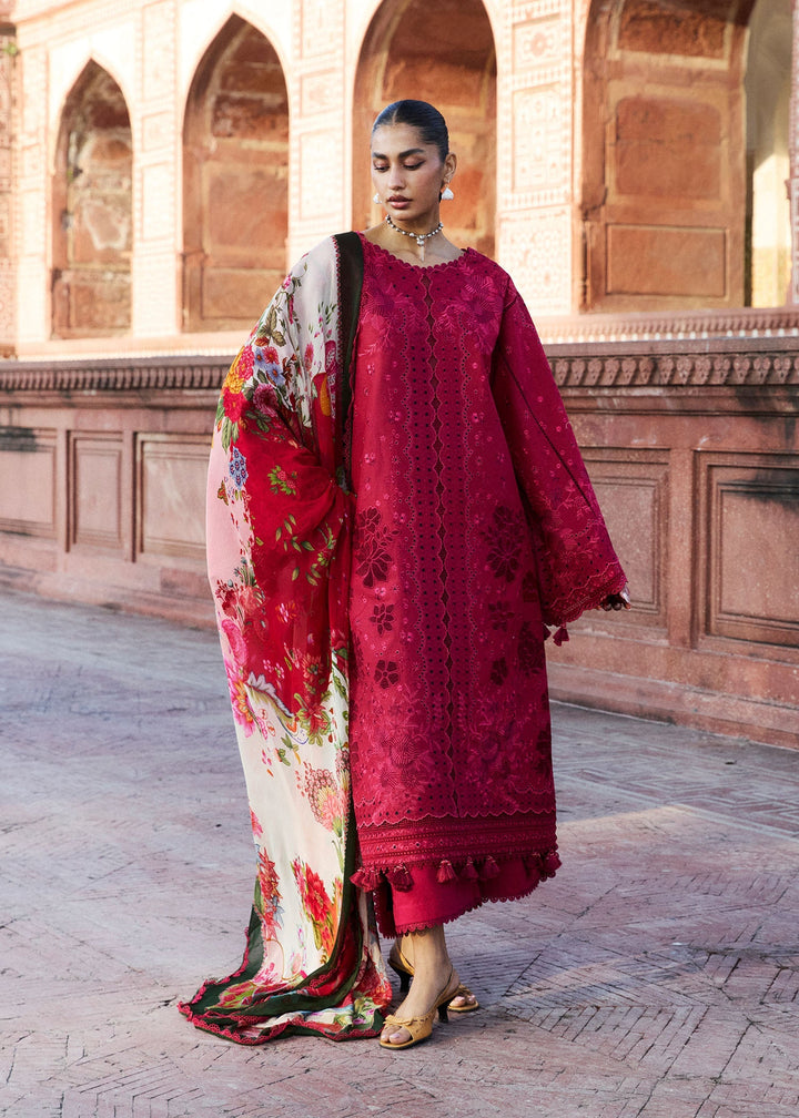 Zan Lawn Collections