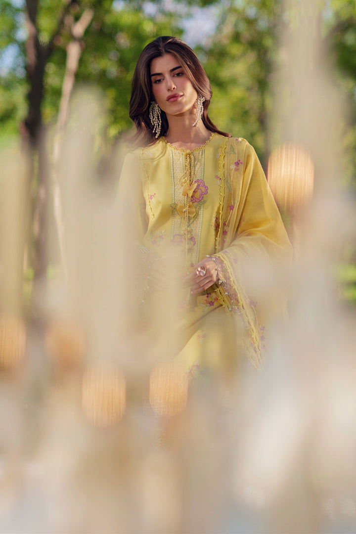 Luxury Eid Collection