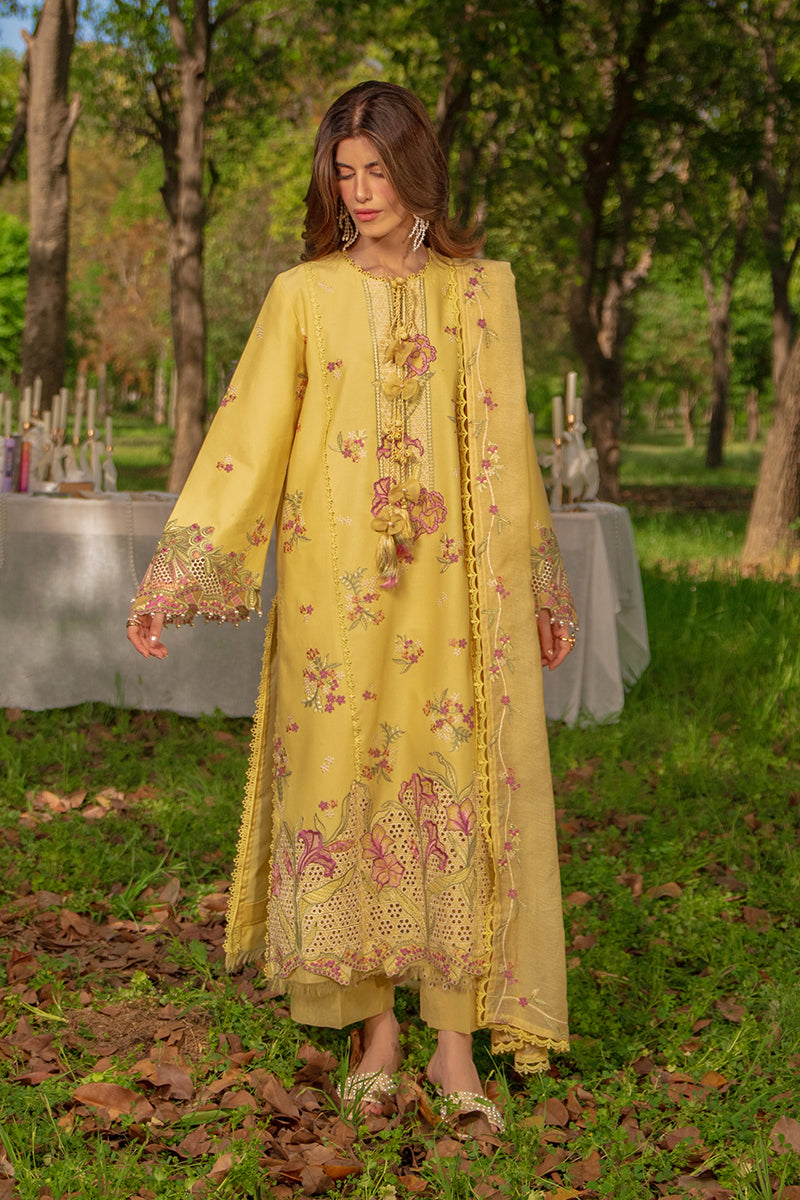 Luxury Eid Collection