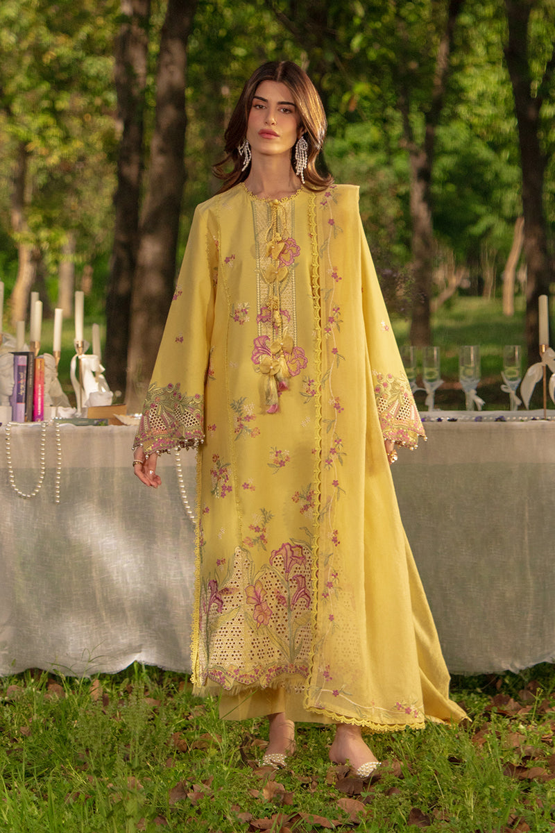 Luxury Eid Collection