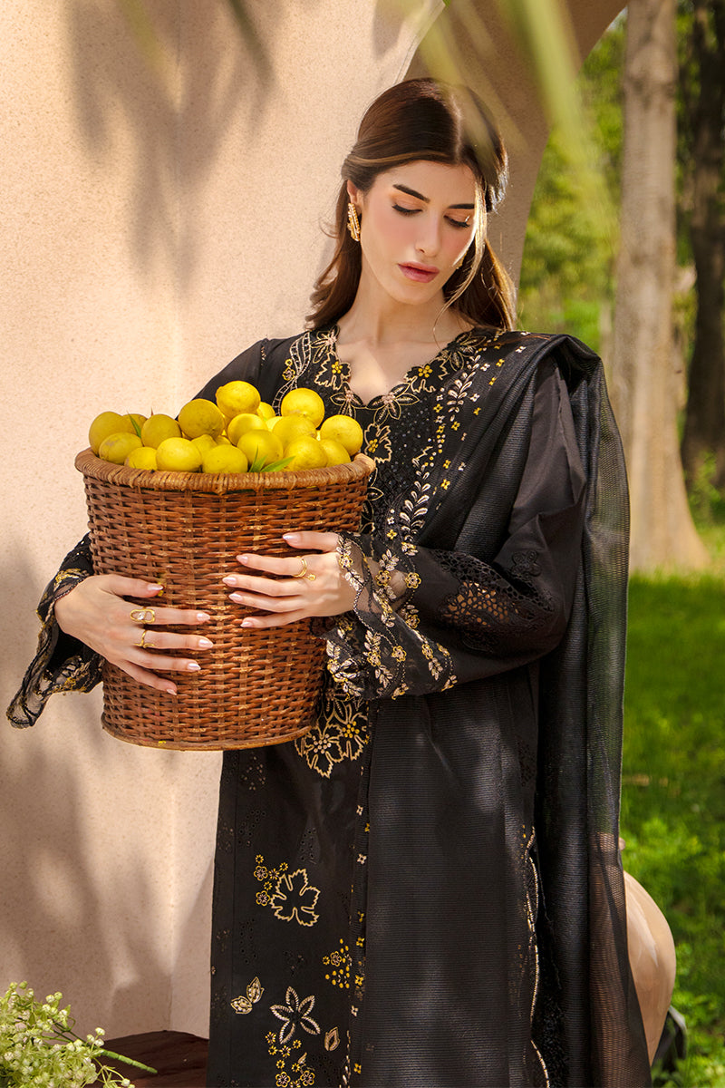 Luxury Eid Collection