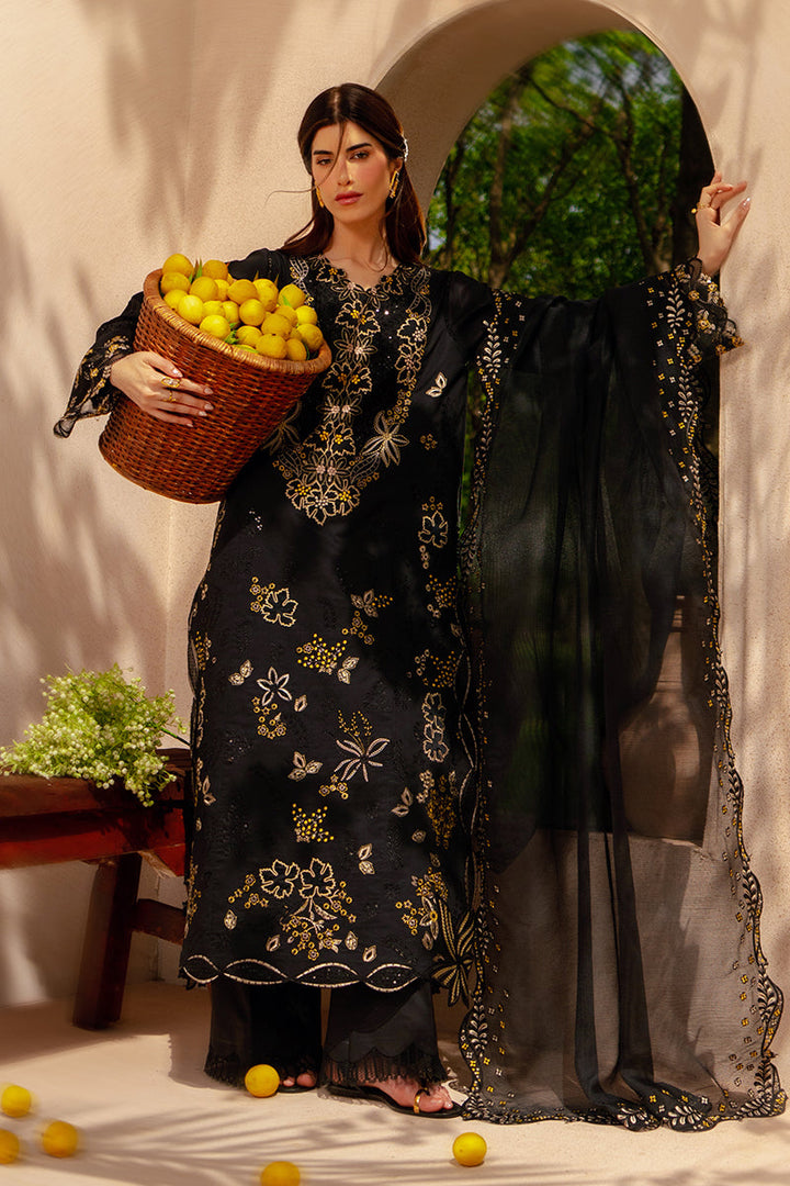 Luxury Eid Collection
