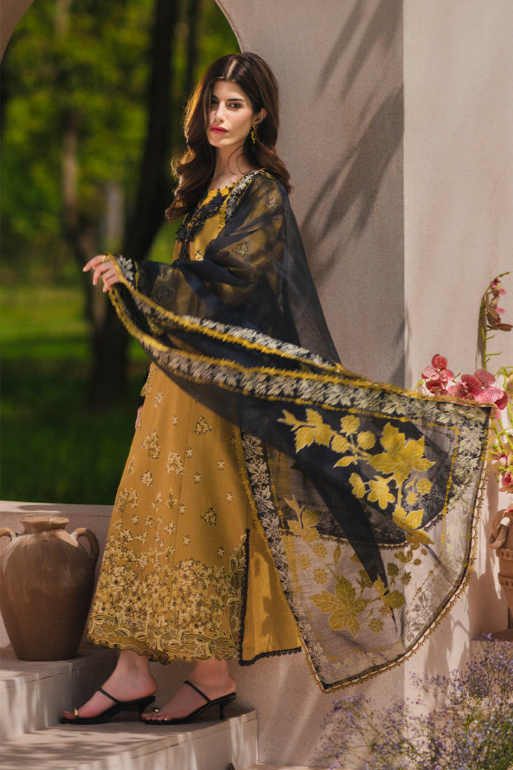 Luxury Eid Collection
