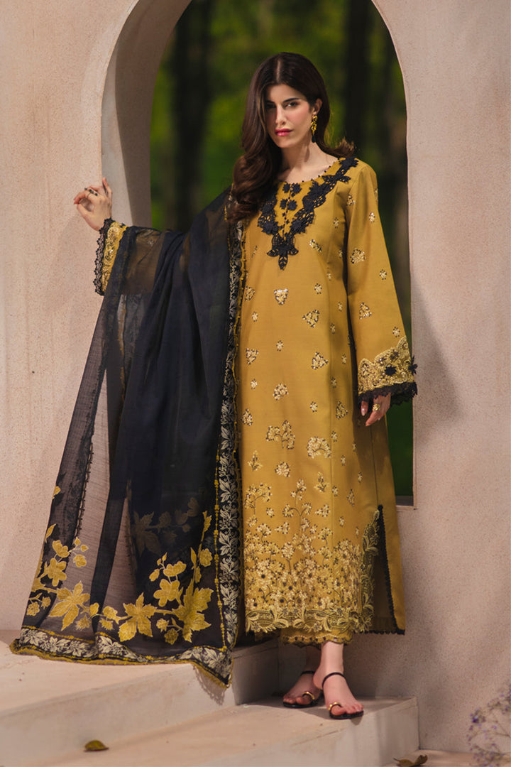 Luxury Eid Collection