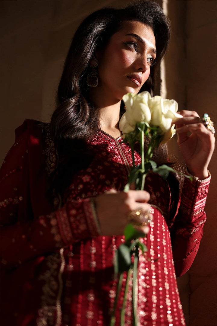 Luxe Embroidered Chiffon