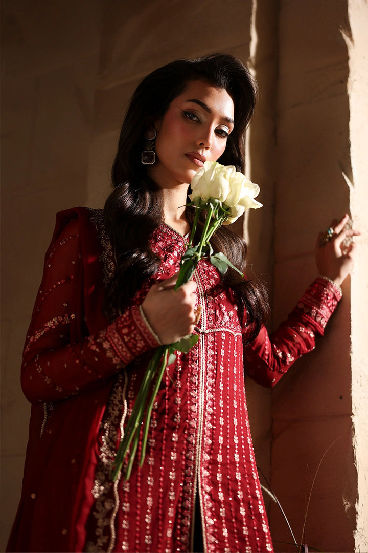 Luxe Embroidered Chiffon